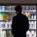 winning dog story's 이미지