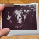 타이어월드 성남점 | 3월에 쓰는 지난 겨울 일상🎄(feat.앞으로 일기 미루지 않기로해^^..)