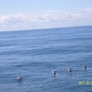 뉴포트비치 이미지