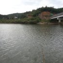 보성강7 이미지