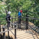 대전둘레산길(9구간) 이미지