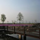 강나루 긴 언덕 이미지