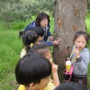 양곡 어린이집 5월의 생태교육 이야기 이미지