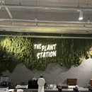 카페정거장 | [파주] '식물정거장' 비오는날 식물 카페 내돈내산 후기