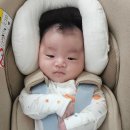 프로스펙스수유 | 좌측사경 재활치료 4회 후기(졸업vs연장치료?)