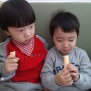 키즈팡팡 이미지