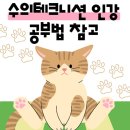 피씨테크니션 | 수의테크니션인강 공부법 참고해서 합격 준비해요