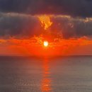 나도 스마트폰 사진작가 이미지