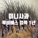 상일농원 이미지