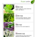 퀸즈헤어 이미지