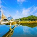 내성천 제방도로 이미지