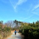 옥류천이야기길(소망길) 이미지