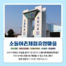 소돌어촌체험휴양마을 이미지