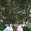 헤이109 | 제주헤이109 B동후기