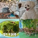 댕댕이 펫카 | 서울근교 애견동반 식당 시흥 거북섬 '가드니아'