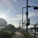 바다숨소리 | [운동] 2025 뉴시스 바다마라톤 5km 후기