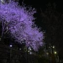 풍덕천2동 행정복지센터 이미지