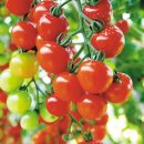 비욘드피티센터 이미지