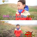 대한 고기 만세 이미지