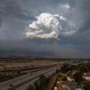 모자목장 이미지