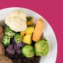 댕댕이푸드 이미지