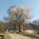 경기둘레길 이천38코스 | 경기둘레길 물길 이천 38코스