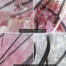 뷰티앤라인