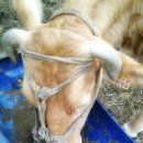 소선농장 이미지