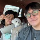 부산애견대학 | 부산 송도해수욕장 도보가능 애견동반 가족숙소 추천 이터널블루 풀빌라 후기(룸 션샤인)