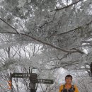 갑오년 쌀패 2월 정기산행 - 도봉산( 道峰山 739.5m ) : 정기산행을 마치며 남깁니다 이미지