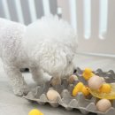 멍더가든 이미지