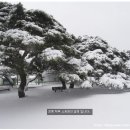 삼산 소공원 이미지