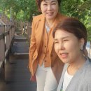 고은인셀덤