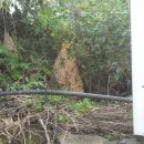 영광비니루 이미지