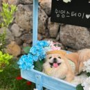 쉼멍스테이 이미지