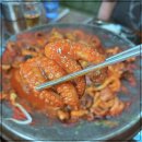 일품냉삼쭈삼 이미지