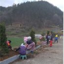 그린빌리지 이미지