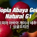 감탄커피 - 송파구 올림픽로35가길 11 | 감탄커피