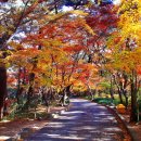 길상초등학교 이미지