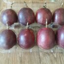 산내농장 이미지