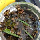 신선계곡야영장 이미지