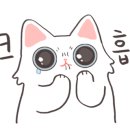 반냥트리 이미지