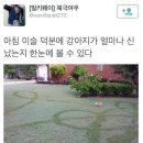 써클PC방 이미지