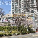 한뫼초등학교 | 일산요양원 더죤요양센터 입소 준비 체크리스트