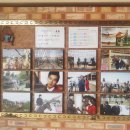 안산승마클럽 이미지