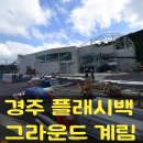 계림개발 | 덱스터 [플래시백 그라운드 계림, 2025 경주 APEC이랑 관계없음]