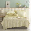 아이리스 이미지