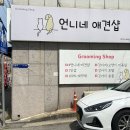 언니네 애견샵 이미지