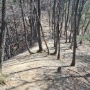 초강농장 이미지