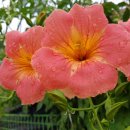 상원1리 경로당 이미지